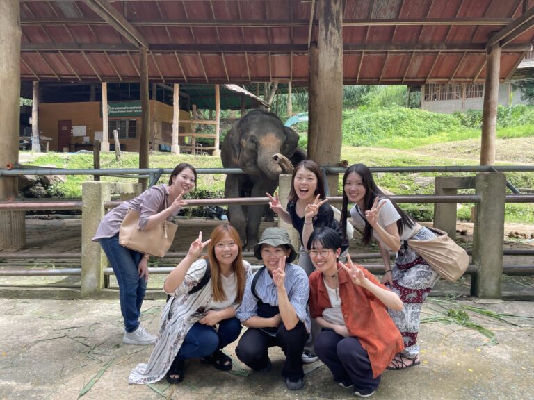 Guests taking a photo with an elephant