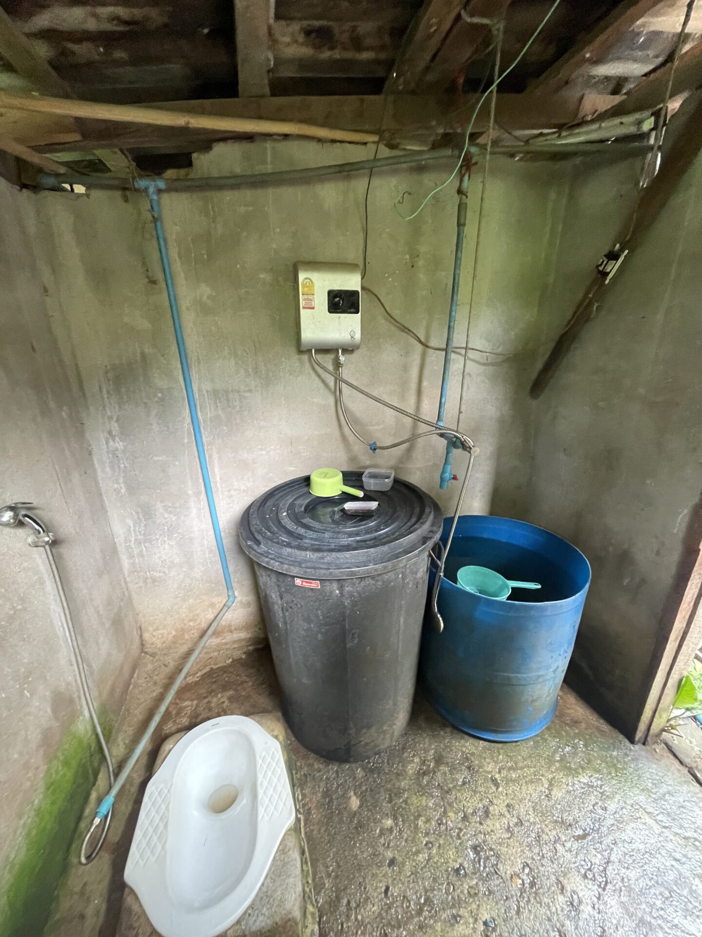 Shower and toilet