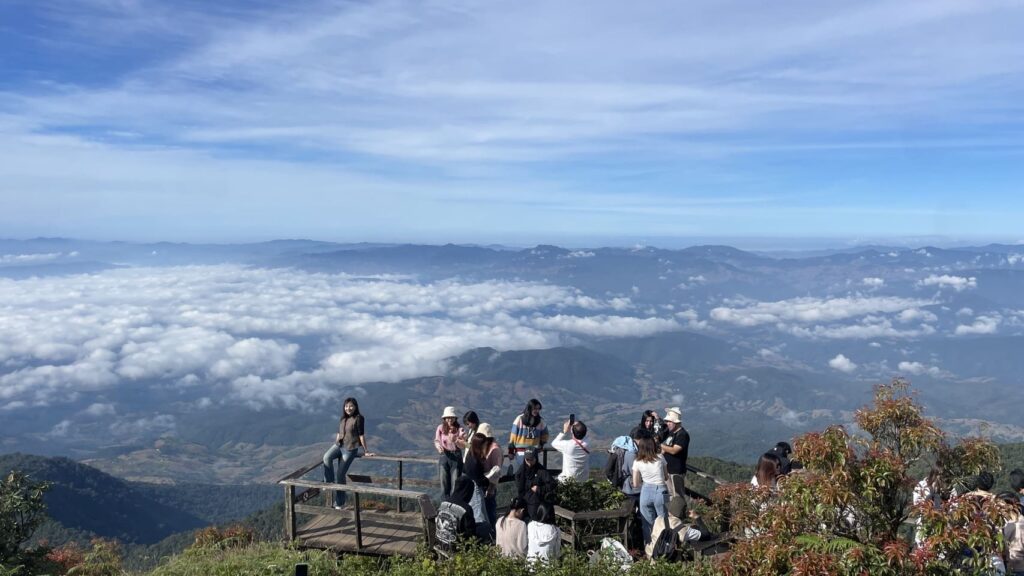 展望台からの絶景