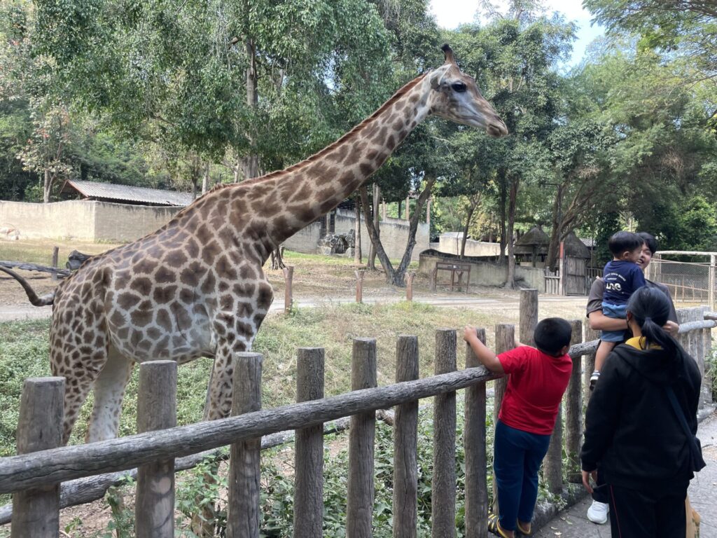 キリン