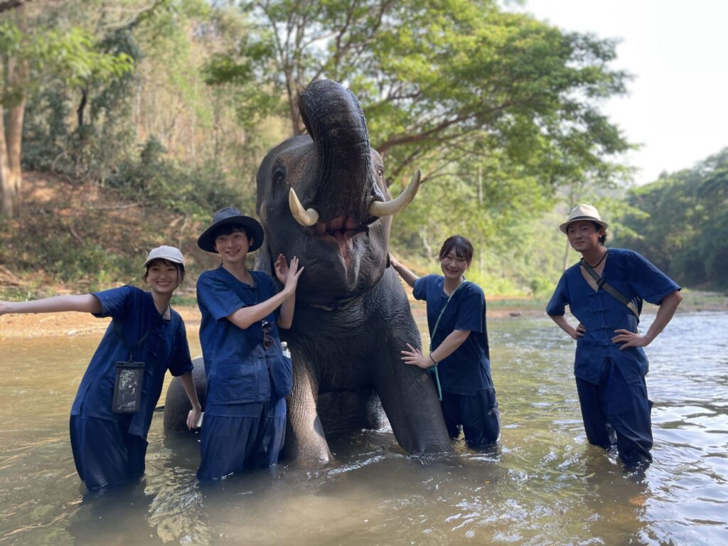 ゾウさんと水浴び
