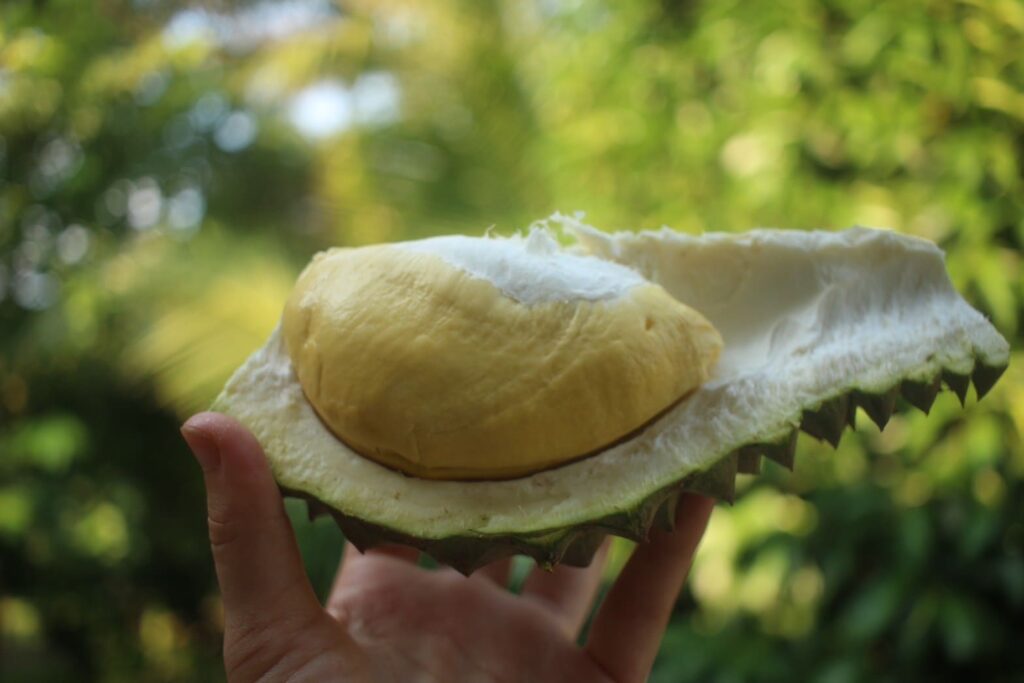 Durian