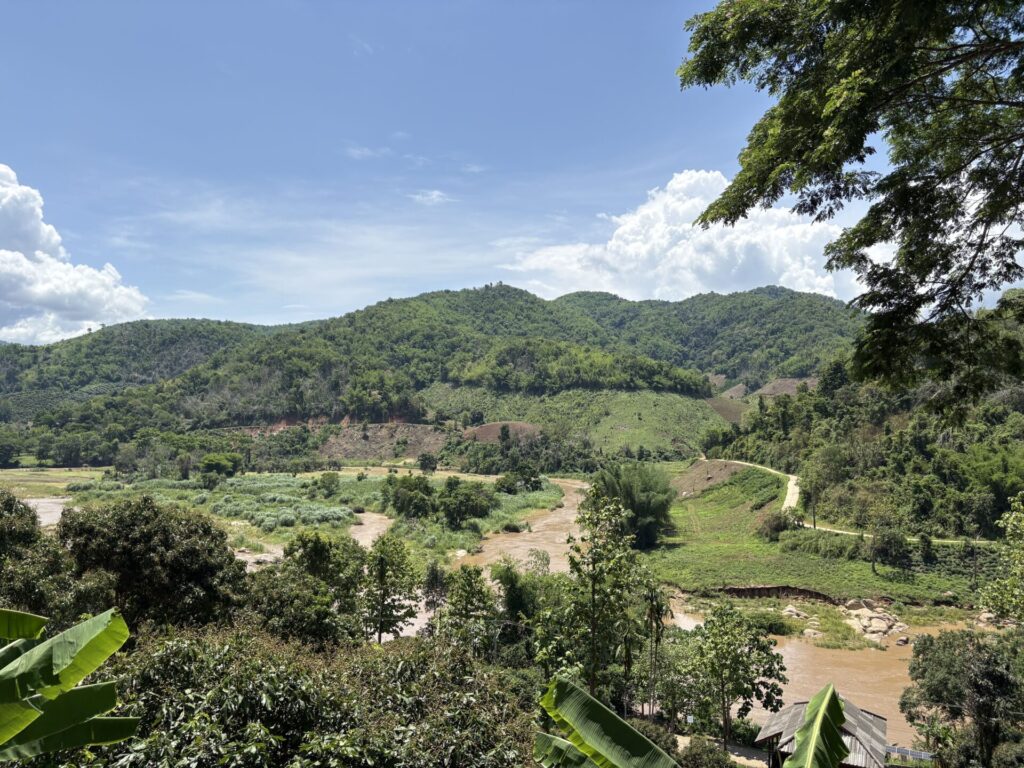 お寺からの景色