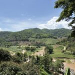 お寺からの景色