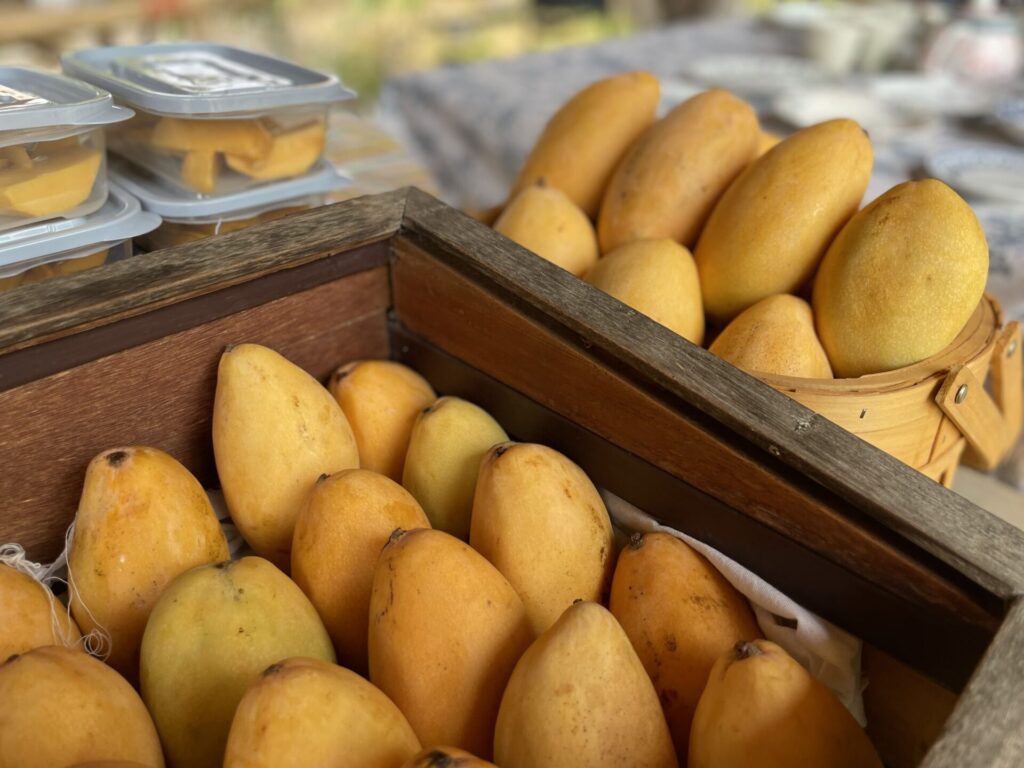 mango