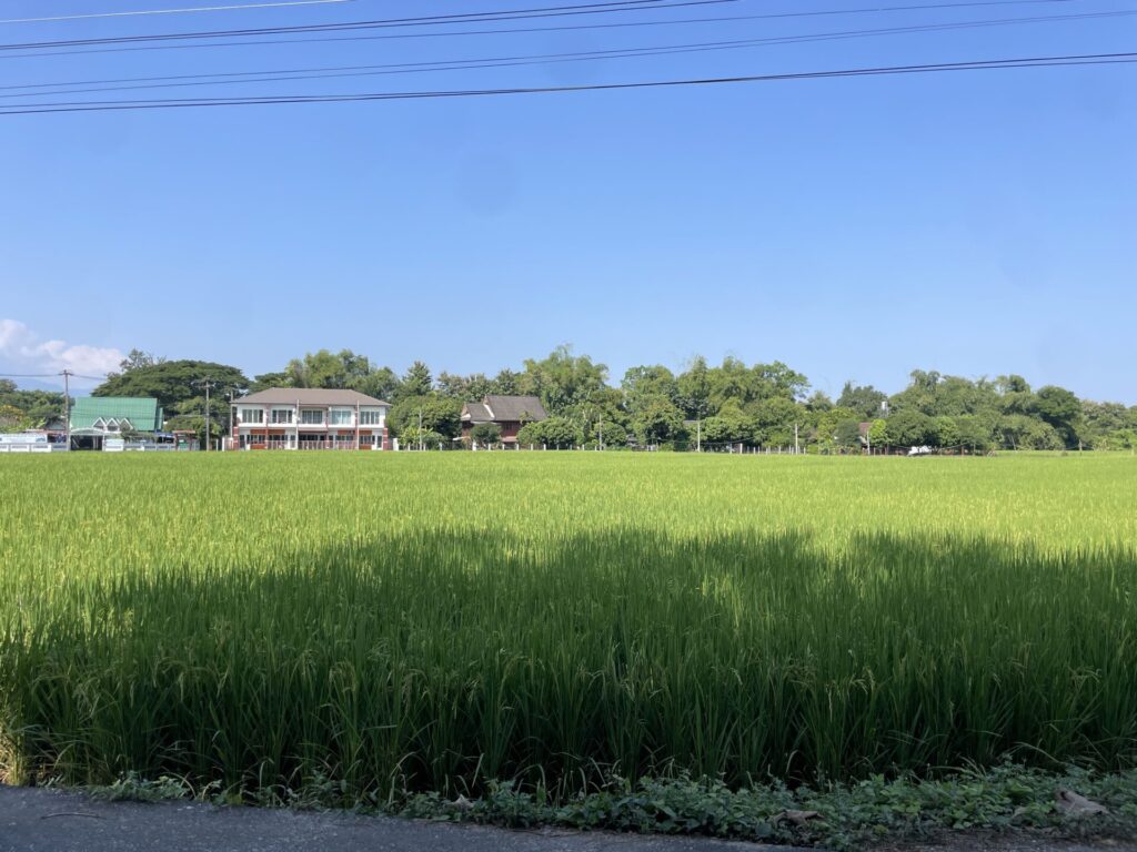 田園風景