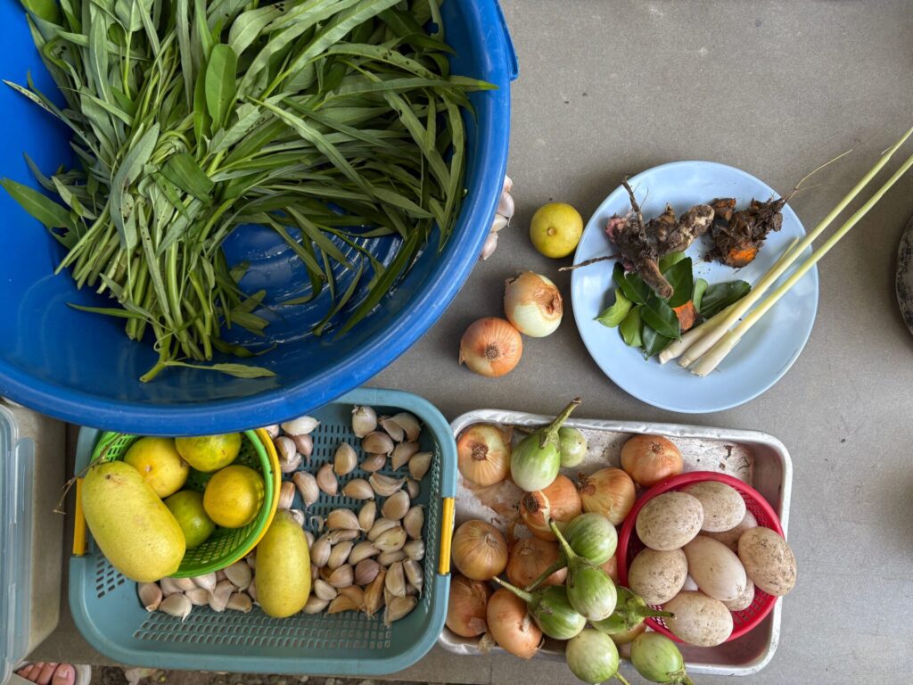 食材たち