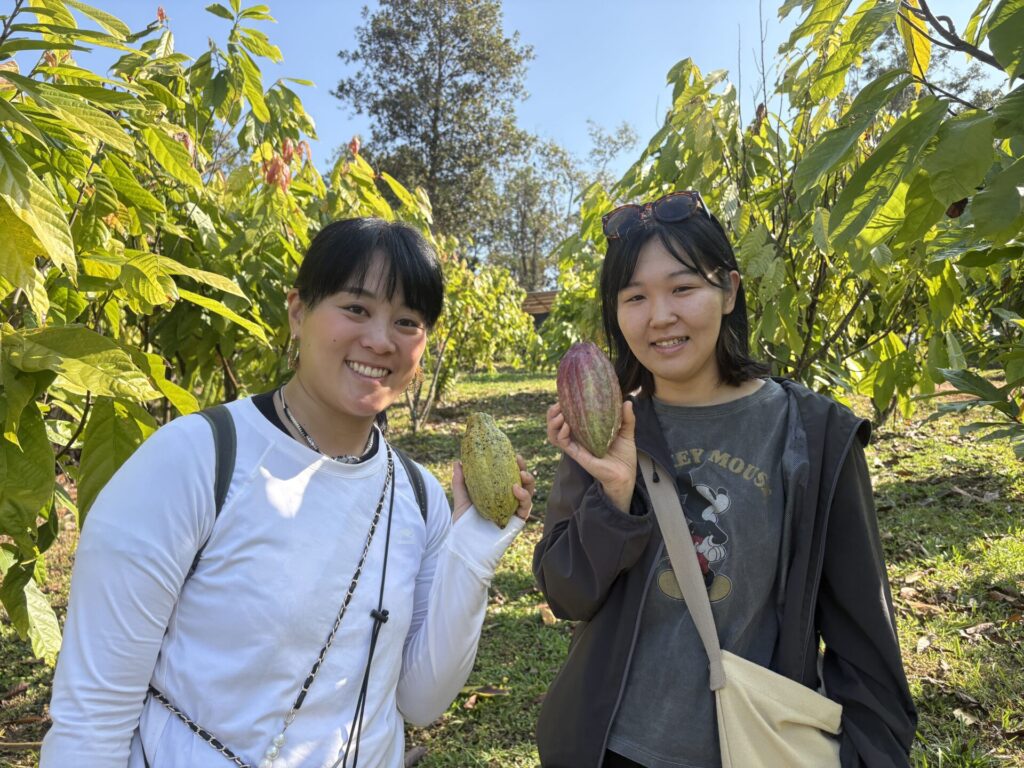 農園見学