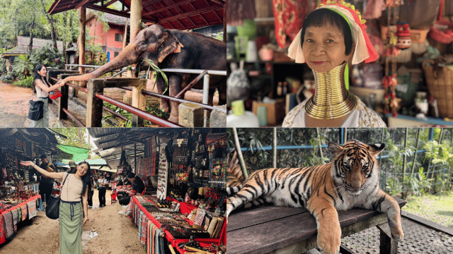 ゾウ＋首長族＋タイガーキングダム