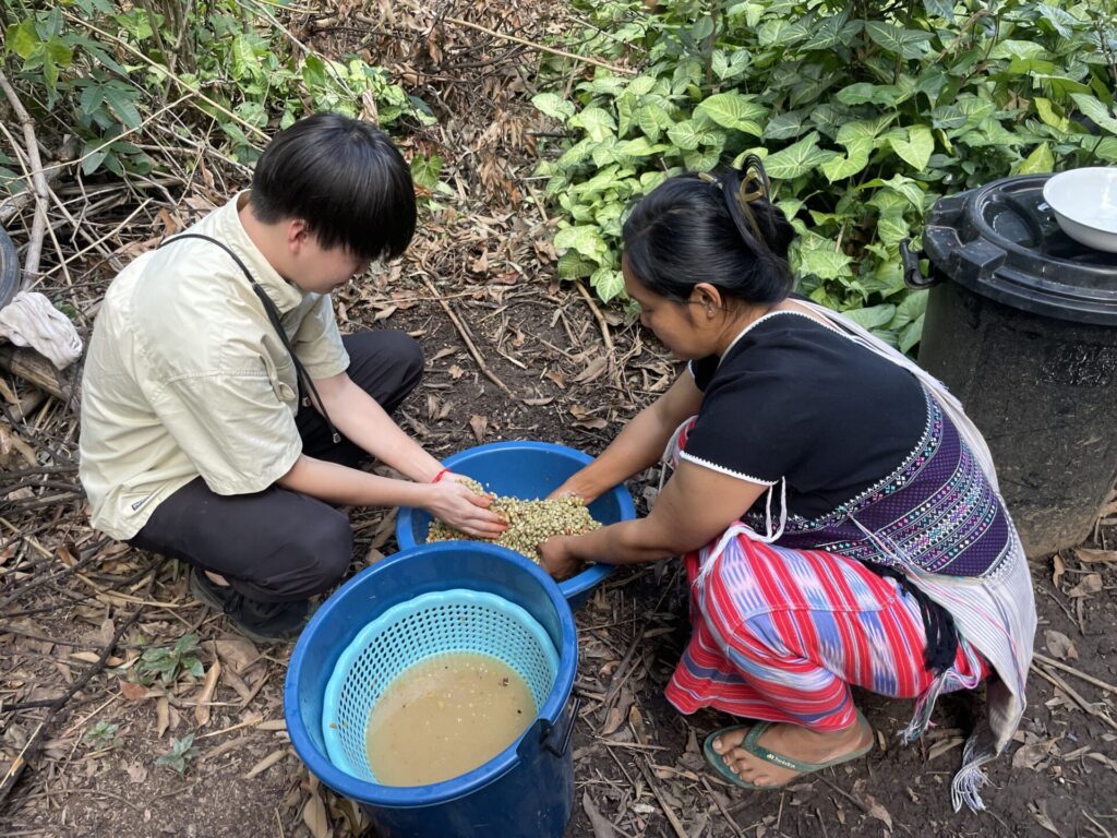 水に浸して発酵