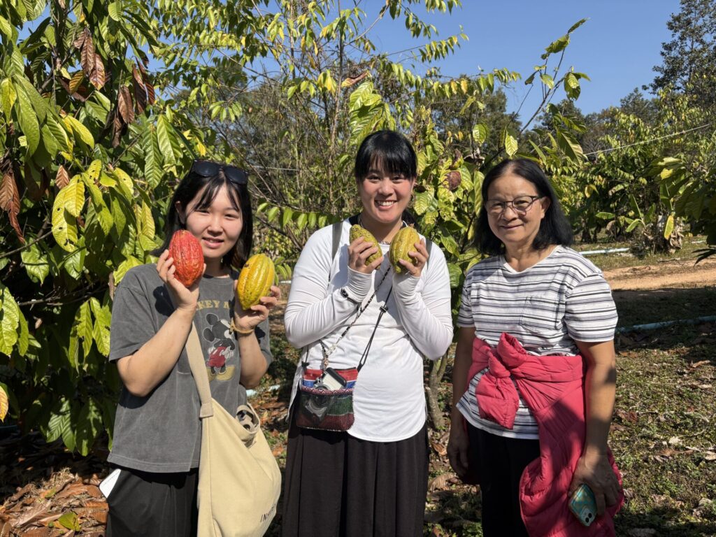 cacao