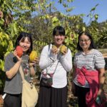 cacao