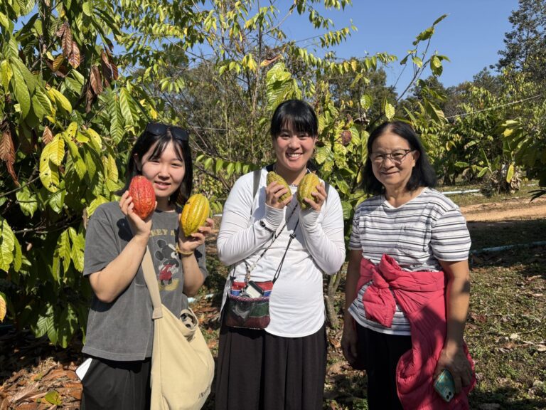 A cacao farm outside Chiang Mai